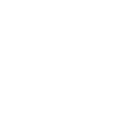 Gastrointestinal Surgery