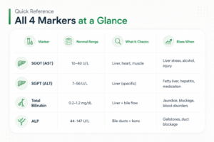 Quick reference infographic showing SGOT, SGPT, bilirubin, and ALP normal ranges with liver function and bile duct health indicators in a premium medical table design