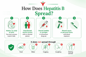Medical infographic explaining how Hepatitis B spreads and does not spread. The infographic highlights common transmission routes including mother-to-child transmission at birth, unprotected sexual contact, shared needles or syringes, and shared razors or personal items exposed to blood. It also clarifies that Hepatitis B does not spread through food, water, hugging, coughing, or sharing utensils. Designed in a green and white healthcare theme with medical icons and easy-to-read layout.