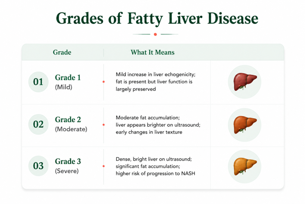 Grades-of-fatty-liver