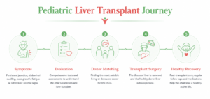 Pediatric liver transplant process in India infographic illustrating symptoms, medical evaluation, donor matching, liver transplant surgery, and post-transplant recovery.