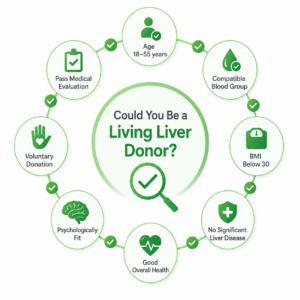 Living liver donor eligibility infographic with age, blood group, BMI, health, and donor evaluation requirements."
